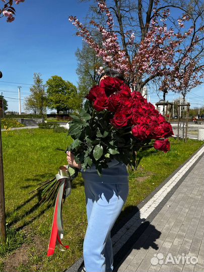 Метровые розы гиганты (100 см.)