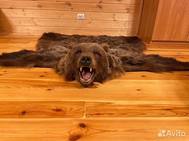 Медвежья шкура (имитация)