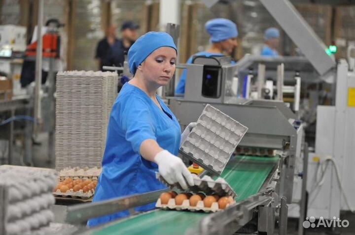 Разнорабочие на птицефабрику/Вахта/Москва/Моск.Обл