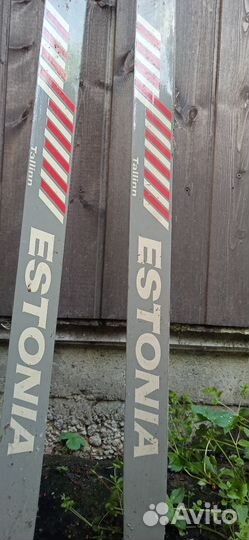 Лыжи беговые