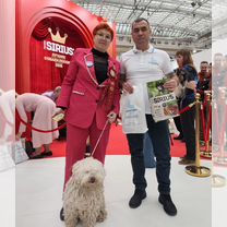 Пули, щенок