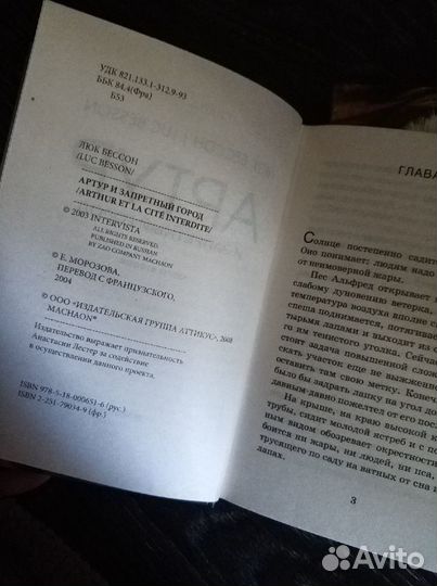 Книги Артур и минипуты, Артур и запретный город