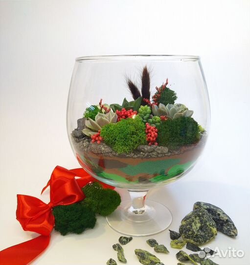 Флорариум Подарок Цветы