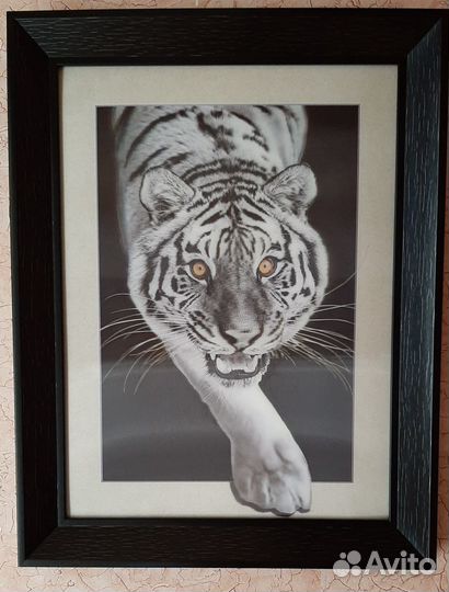 Крадущийся тигр 3D+спящий полосатый