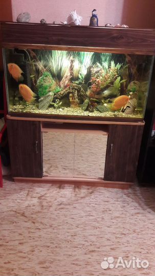 Аквариум