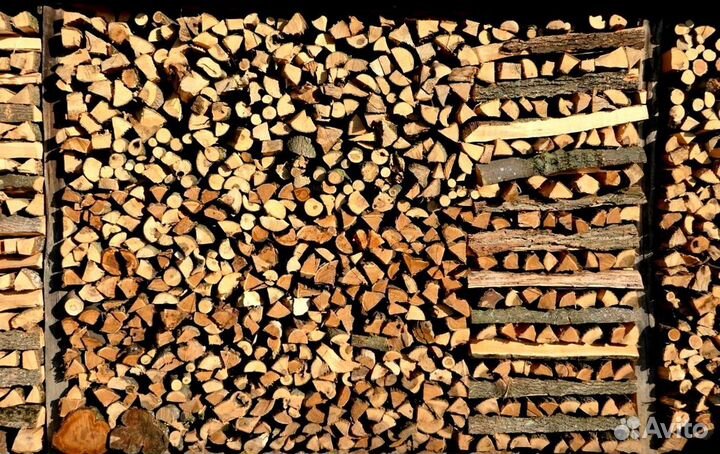 Дрова из Буратино