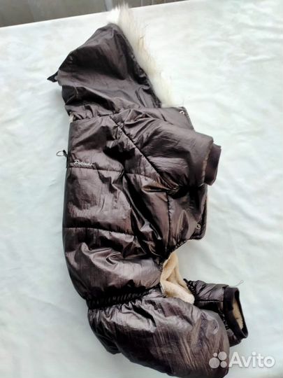 Одежда для собак средних пород