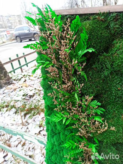 Картина со стабилизированным мхом