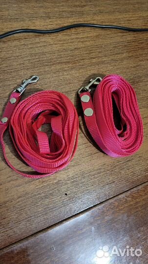 Когтерез, Поводок, шлейка