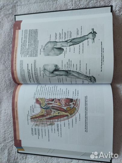 Атлас анатомии человека Синельников в 4х томах