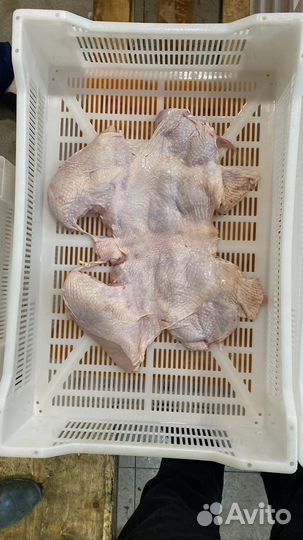 Куриная Шаурма «Халяль» гост