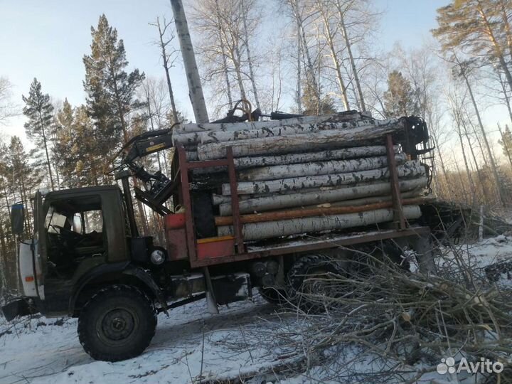 Дрова сухие