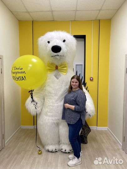 Белый медведь поздравление в Туле
