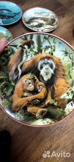 Настенные тарелки villeroy boch