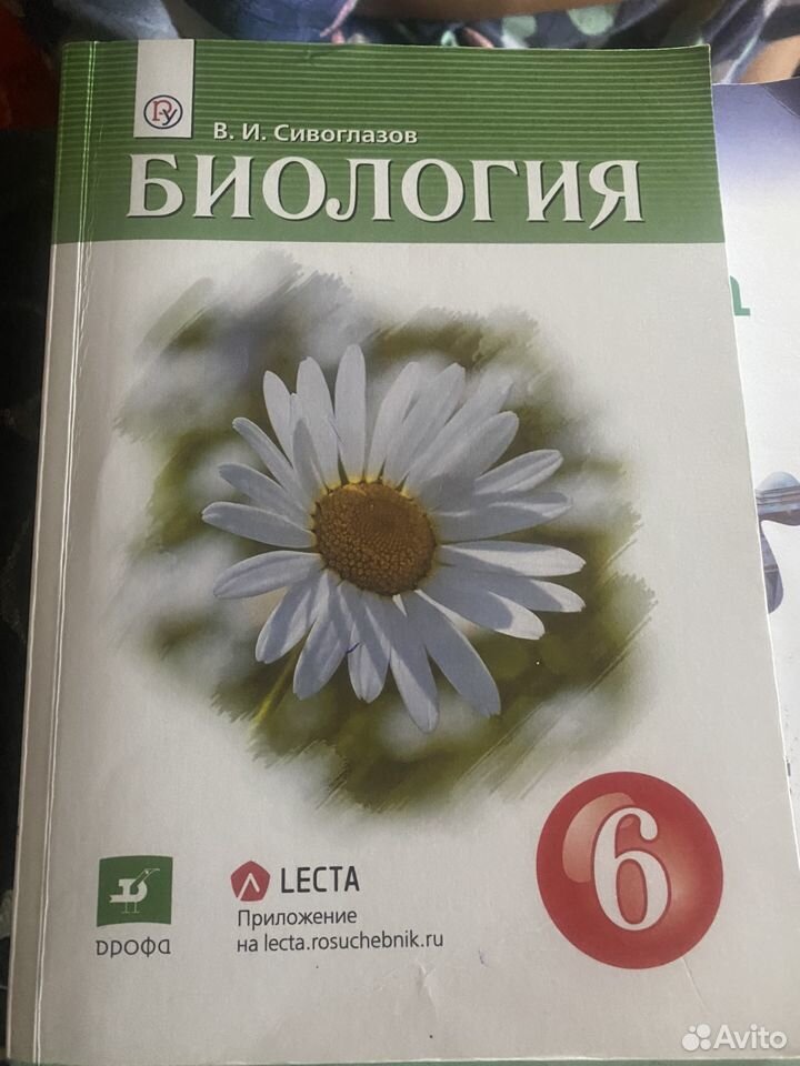 Учебник 6класс