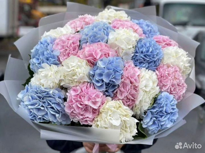 Гортензии с гарнтией и доставкой