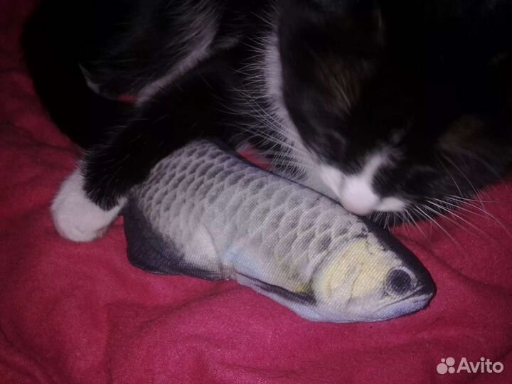 Игрушка для кошки 