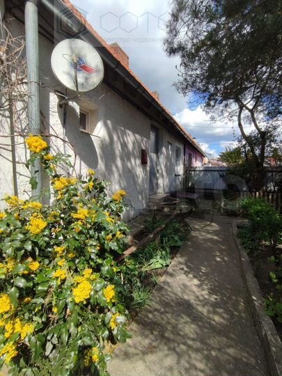 2-к. квартира, 53,8 м², 1/2 эт.