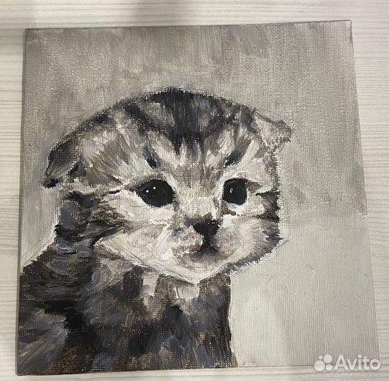 Картина грустный кот