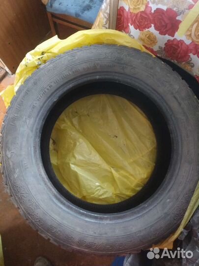 Gislaved Nord Frost 5 205/60 R16