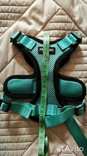 Шлейка и поводок для кошек