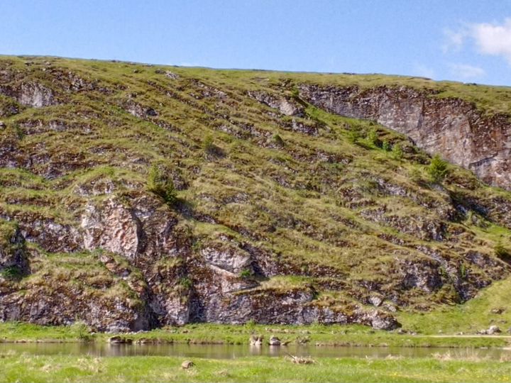 Участок 15,4 сот. (ИЖС)