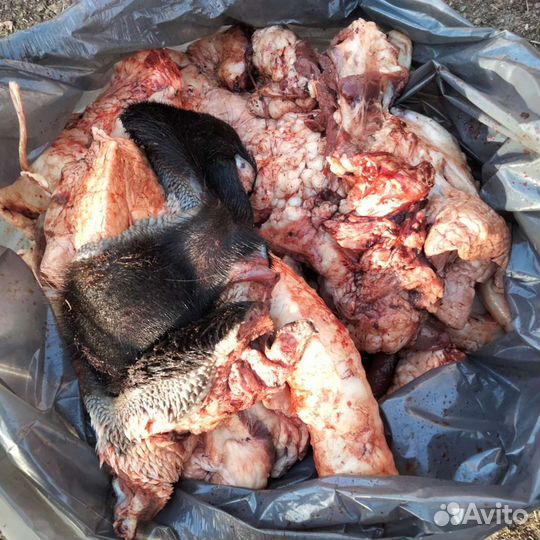 Говяжье обрезки и трибуха