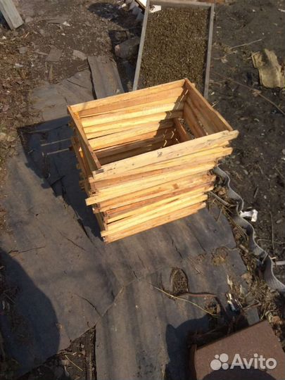 Сушь для пчел