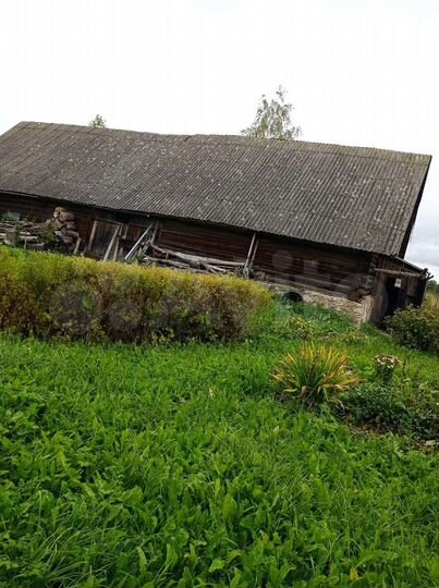 Дом 96 м² на участке 1,98 га