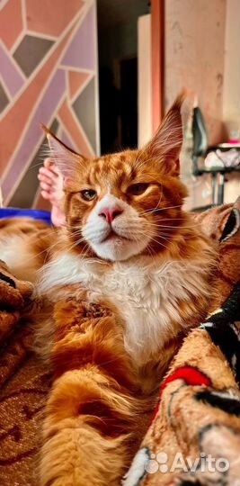 Мейкун вязка