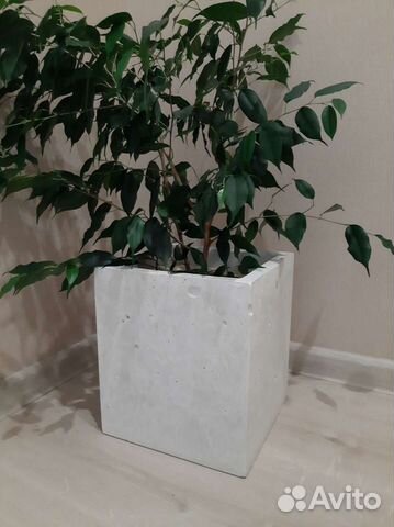 Бетонные кашпо