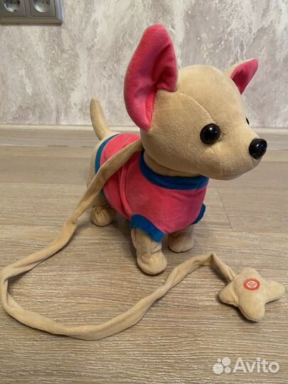 Собачка чичилав