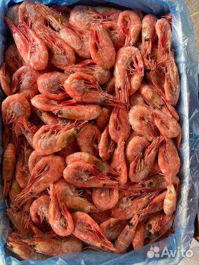 Морепродукты в ассортименте креветки, лангустины