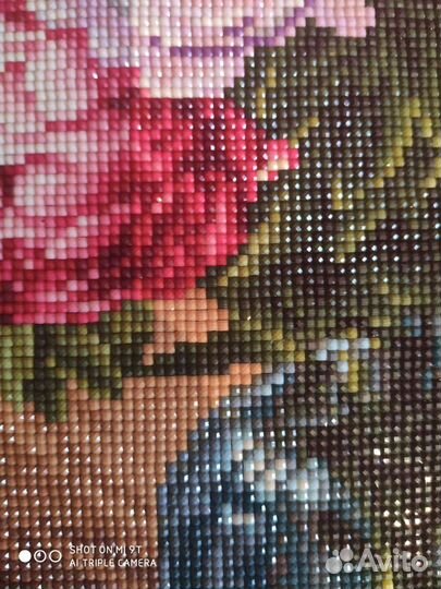 Картина Алмазная мозаика, пионы