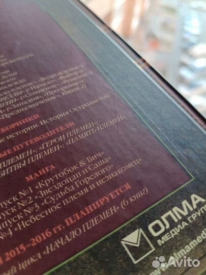 Книга Эрин Хантер Коты Воители: Обещание Метеора