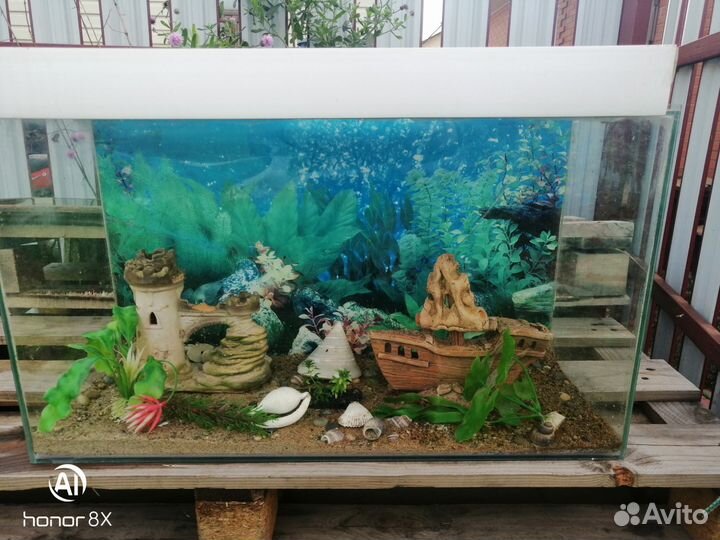Аквариум