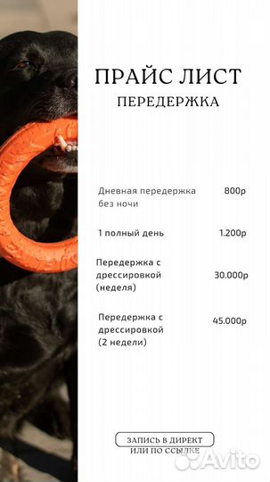 Передержка с дрессировкой, агрессия, страх