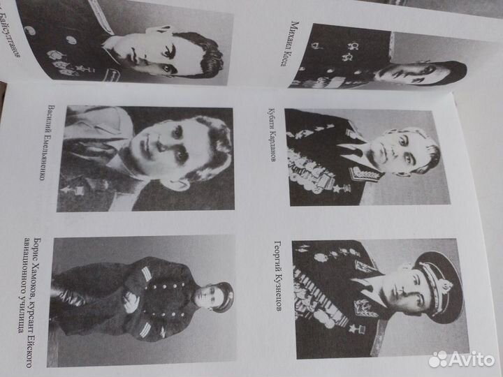 Орёл умирает в полёте