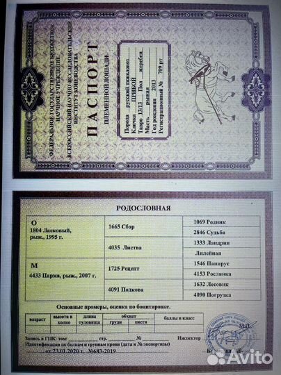 Русский тяжеловоз