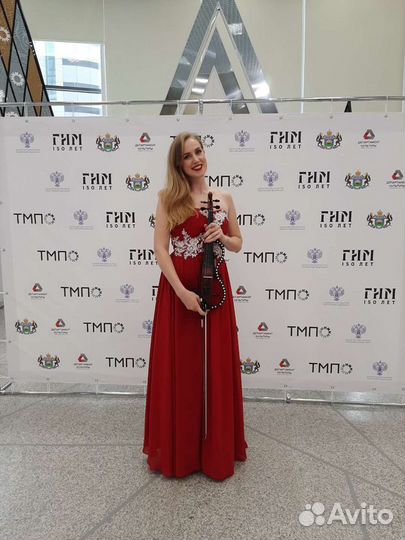 Скрипка на свадьбу, встреча гостей