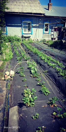 Дом 80 м² на участке 9 сот.