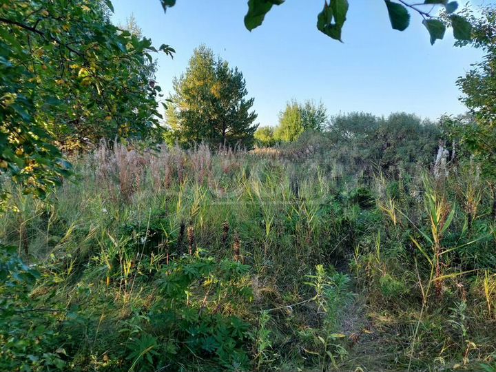 Участок 10 сот. (ИЖС)