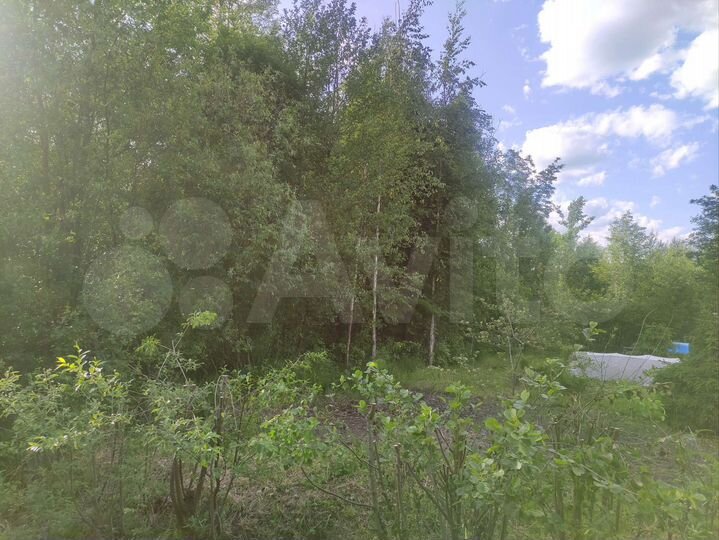 Участок 6 сот. (СНТ, ДНП)