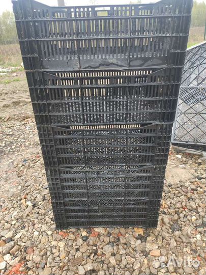 Пластиковые ящики бу от луковиц лилий и тюльпанов