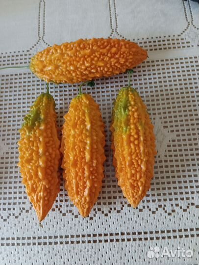 Семена момордики