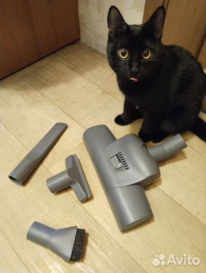 Пылесос Karcher DS 5500