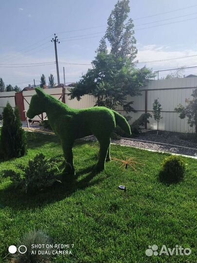 Топиарные фигуры. Ландшафтный дизайн