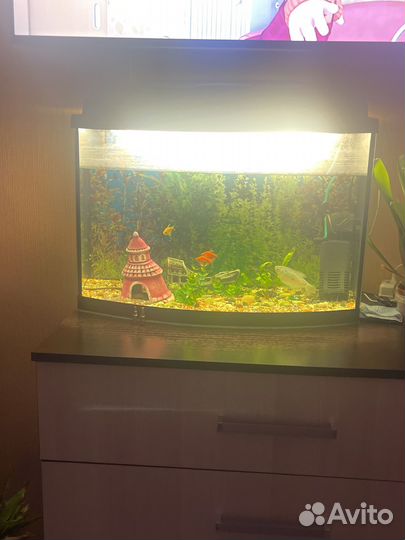 Украшение для аквариума