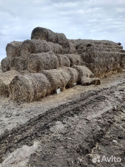 Солома в тюках