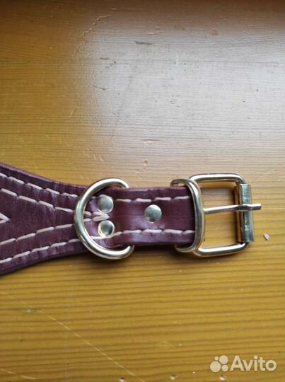 Ошейник для собаки, 